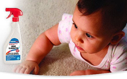 Cleaning Up After Potty Training Accidents - Home-Ec 101