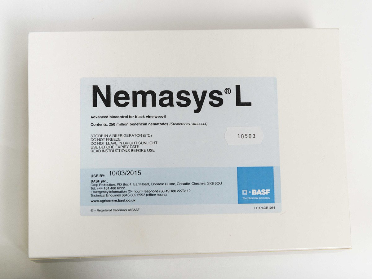 Nemasys L Nematode Control For Black Vine Weevil