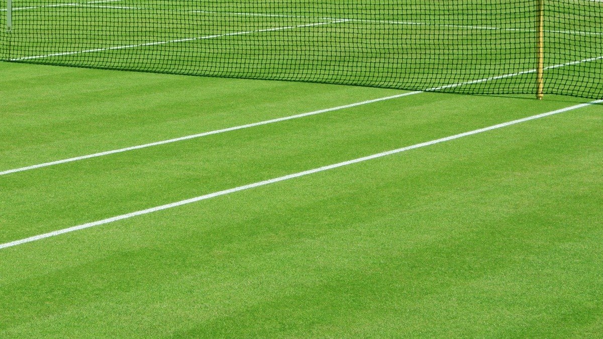 How to achieve the 'Wimbledon' lawn look
