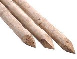 Buy tree stakes for use in the garden to support young trees.