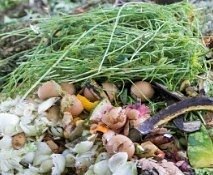 Food waste and grass clippings.