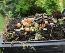 Food waste on the compost heap