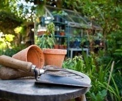 When is it the best time to prune your roses or sow your vegetable seeds? Take a look at our 12 month calendar and find out which jobs need special attention when you are next in the garden.