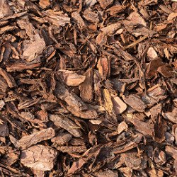 Buy mulch to lock in essential moisture and nutrients.