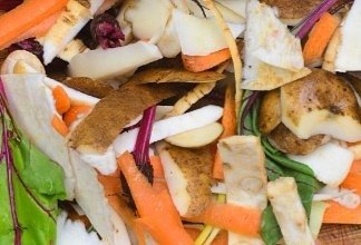 Vegetable food waste scraps