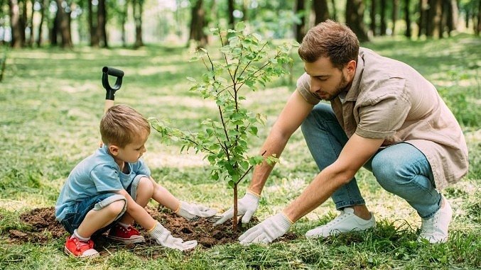 family plating a tree