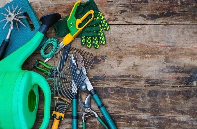 Shop our full range of garden tools, accessories and essentials to get your garden in tip-top shape this year!