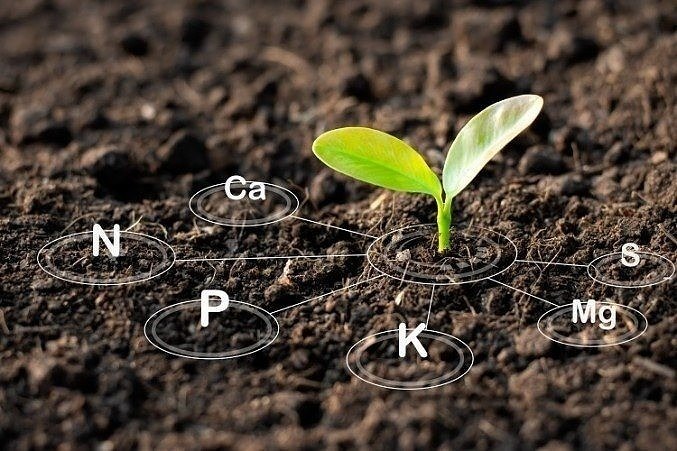 Soil health: understanding the NPK ratio and benefits of magnesium and calcium in soil structure.