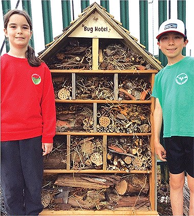 Bug Hotel