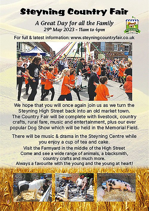 Steyning Country Fair p1